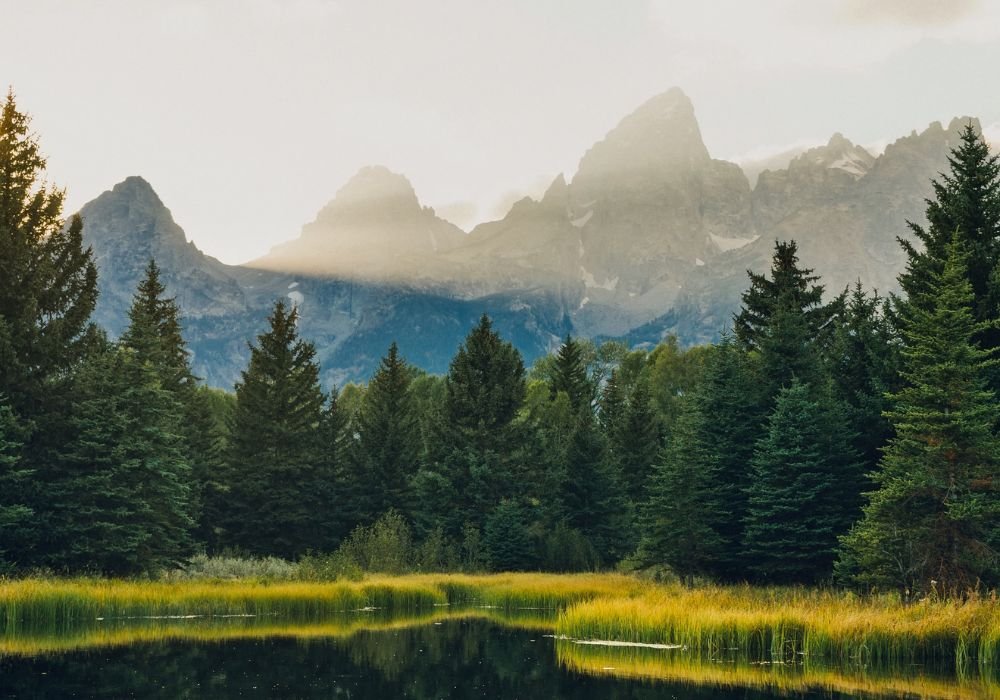 National Parks Tour One Days
