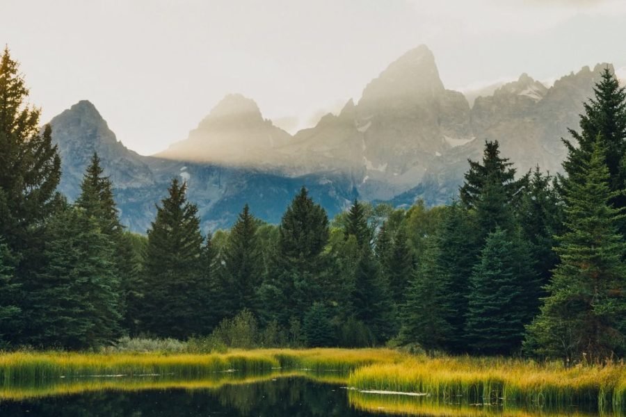 National Parks Tour One Days